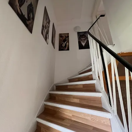 Auf Dem Berge Hohegeiss Feriehus